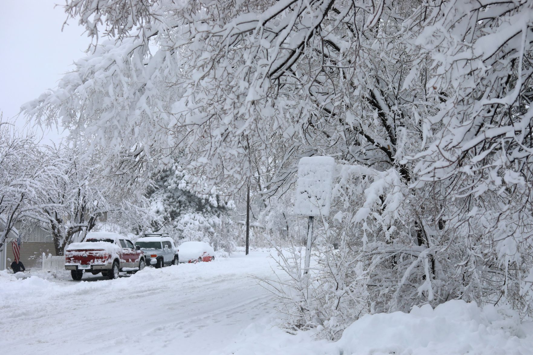 Snow on Black Friday
